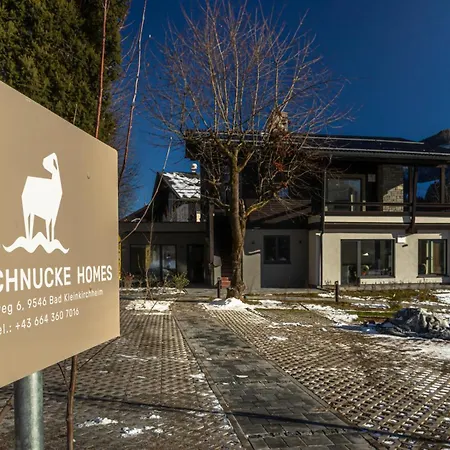 Nockschnucke Homes - Kaernten Card Im Sommer Inklusive *
